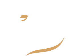 Kaleam-logo