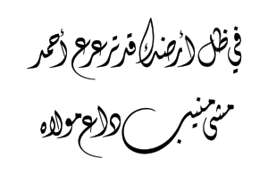في ظل أرضك قد تررع أحمد
